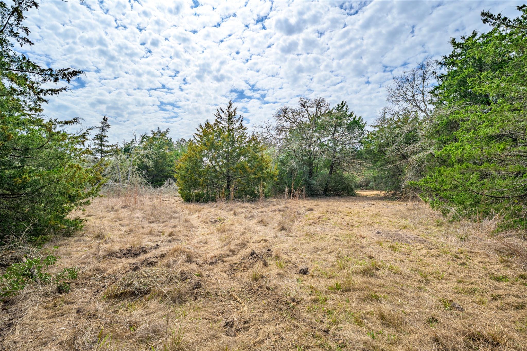 TBD (LOT 3) Independence St, Carmine, TX 78932