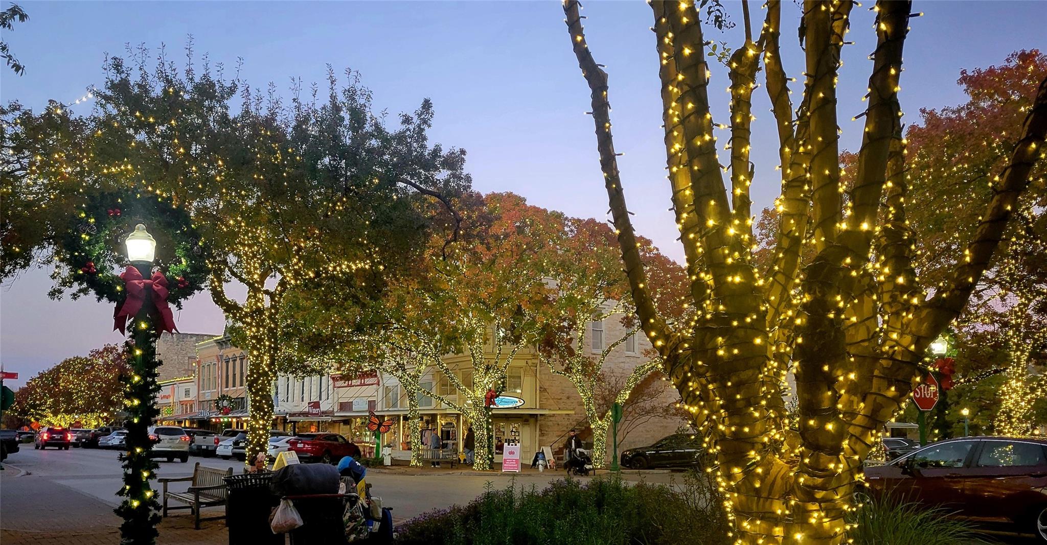 514 E University Ave # 4, Georgetown, TX 78626