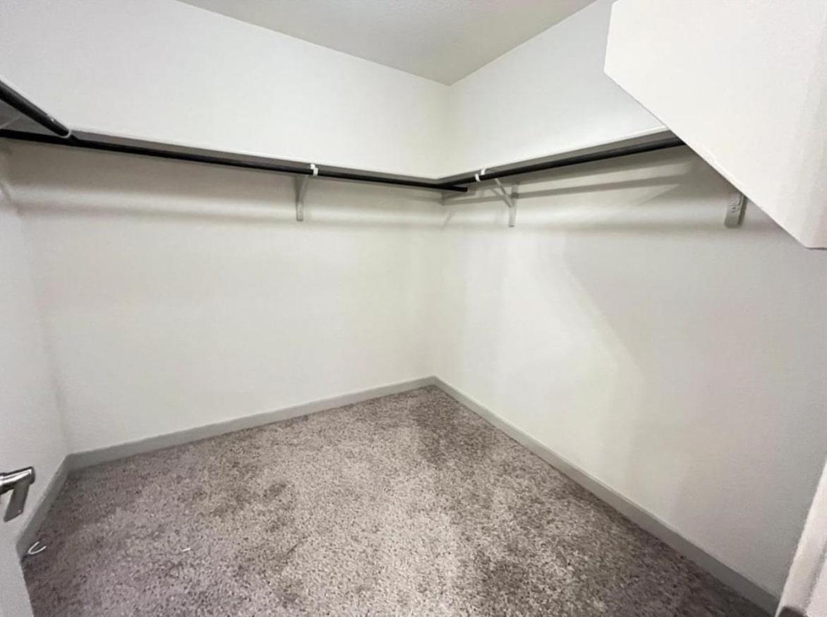 1032 Winnsboro Loop, Round Rock, TX 78664