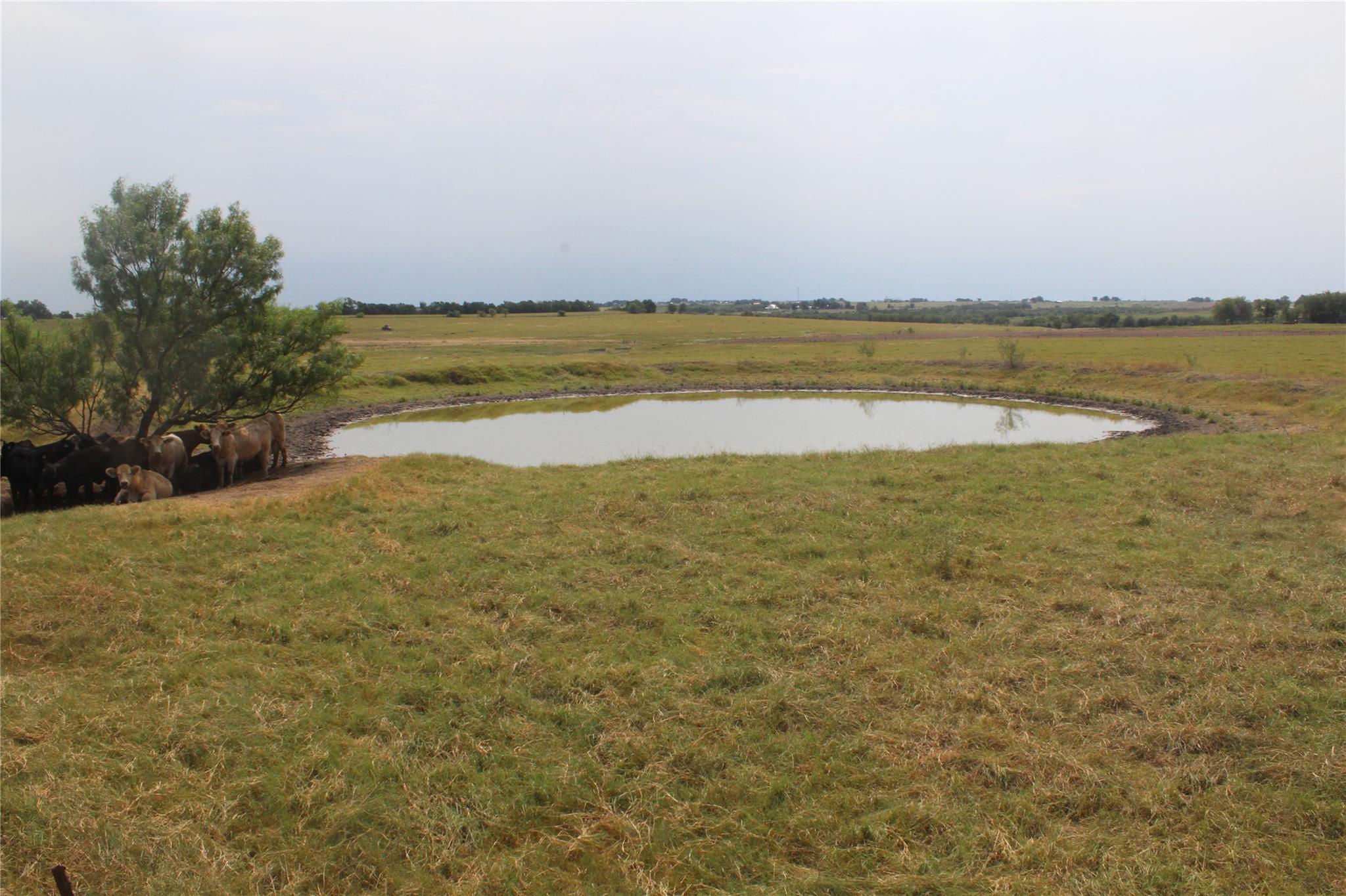 TBA County Road 417, Taylor, TX 76574