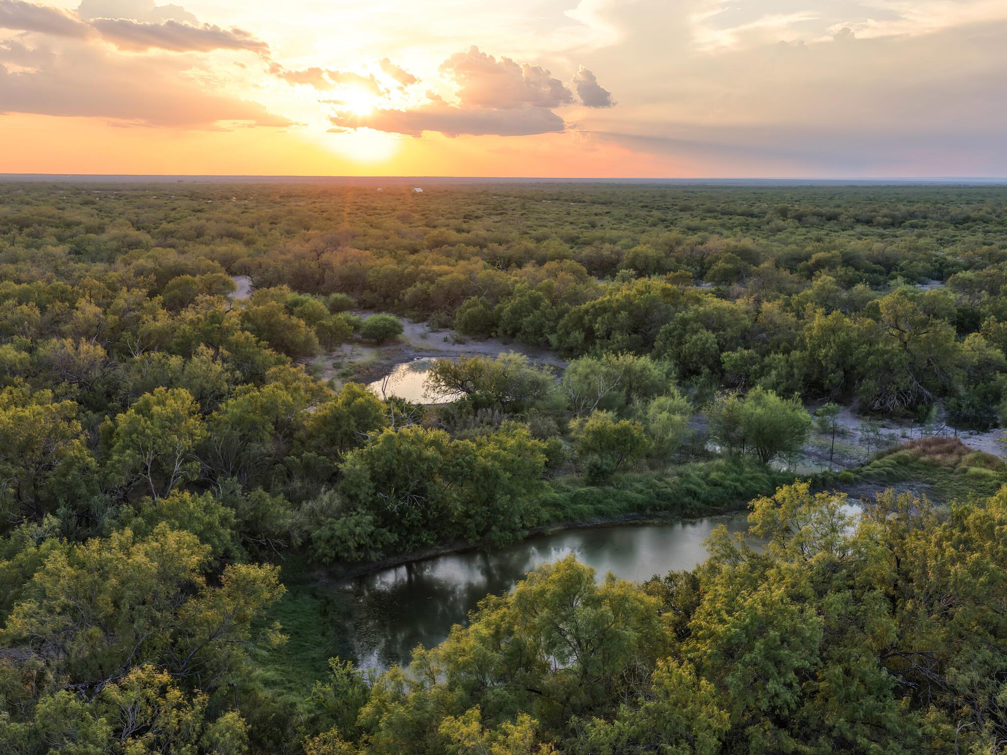 TBD FM 1986, Crystal City, TX 78872