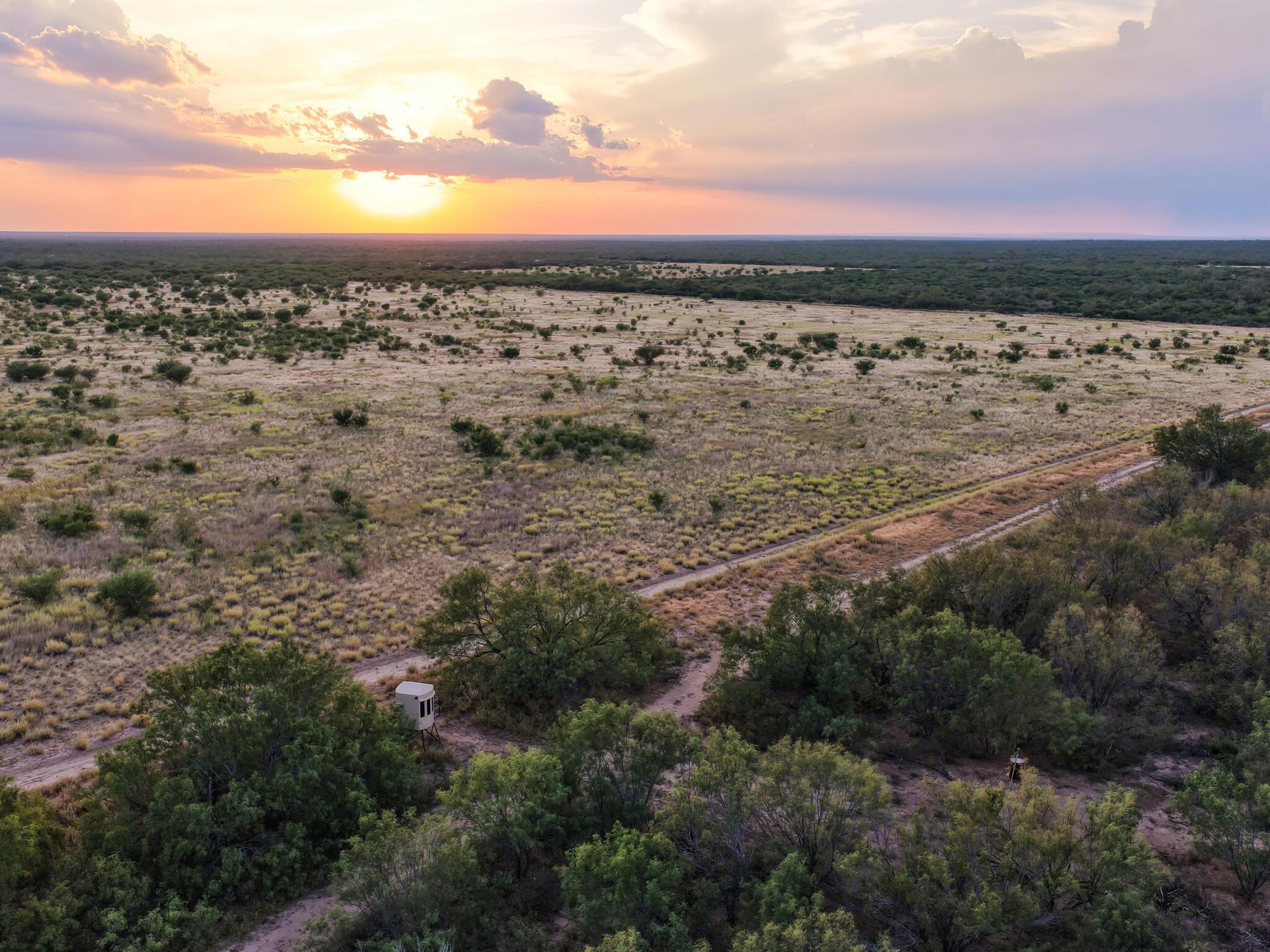 TBD FM 1986, Crystal City, TX 78872