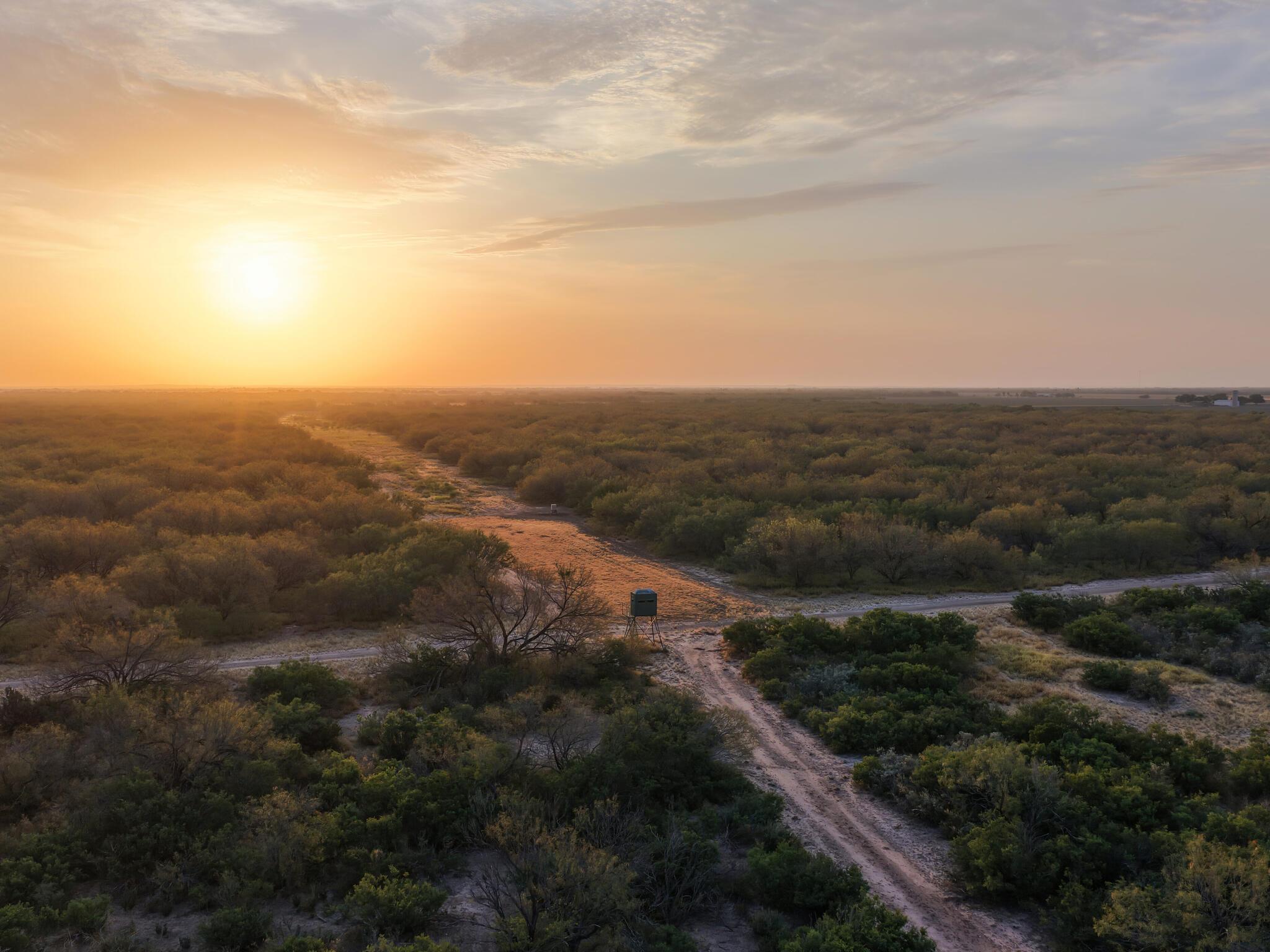 TBD FM 1986, Crystal City, TX 78872