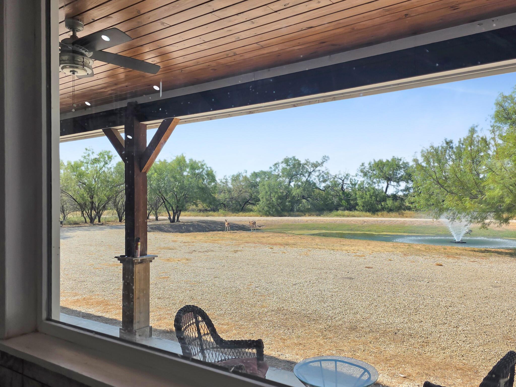 TBD FM 1986, Crystal City, TX 78872