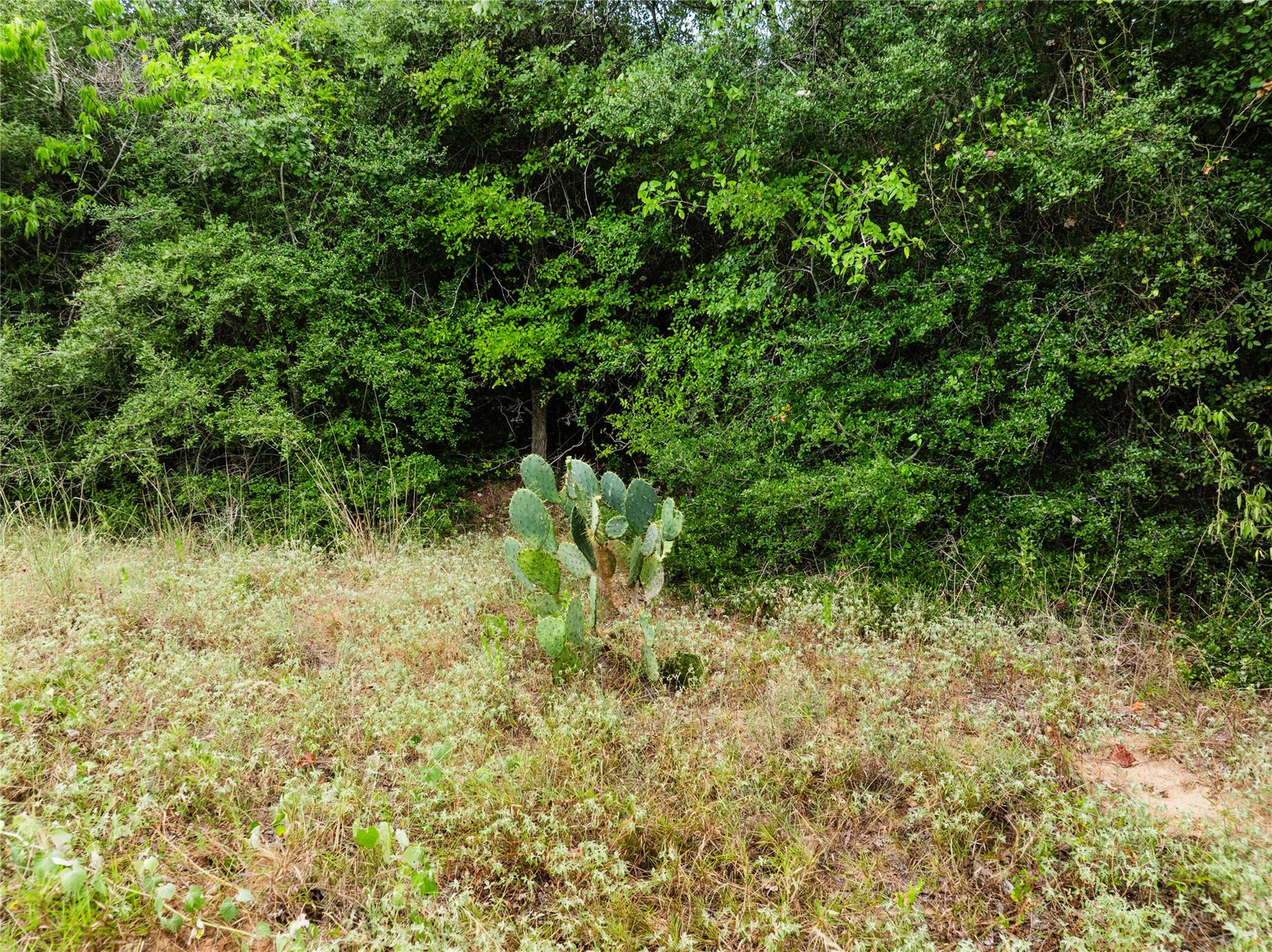 308 The Oaks Blvd, Elgin, TX 78621