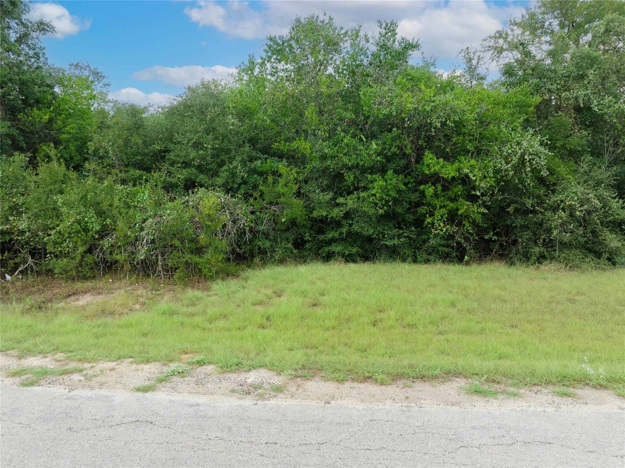 308 The Oaks Blvd, Elgin, TX 78621