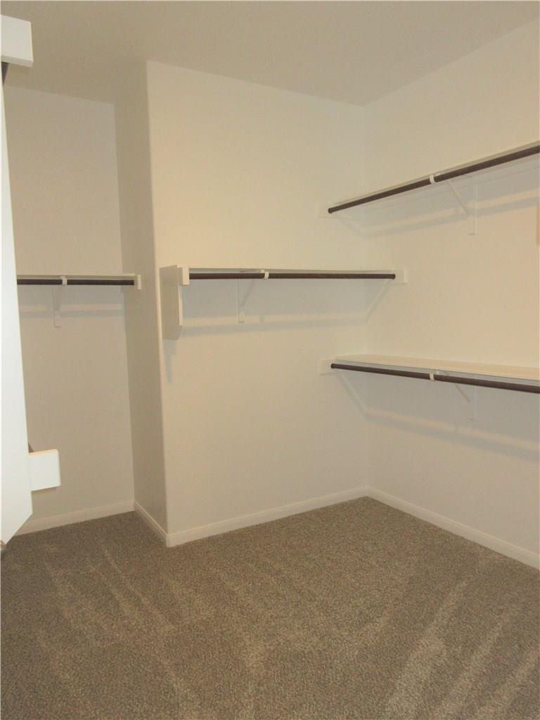 1017 Sundrops St, Leander, TX 78641