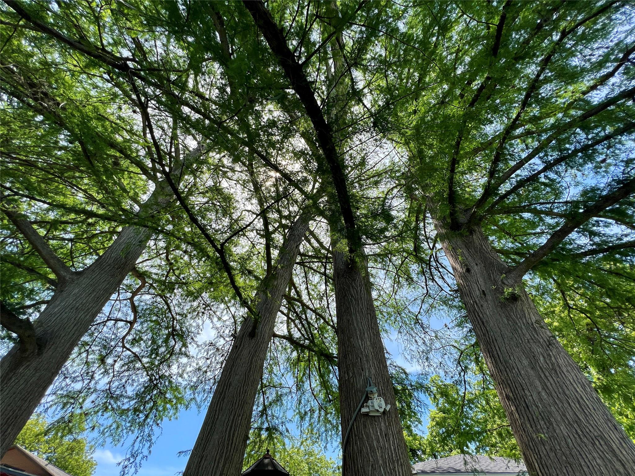 1317 E Zipp Rd, New Braunfels, TX 78130