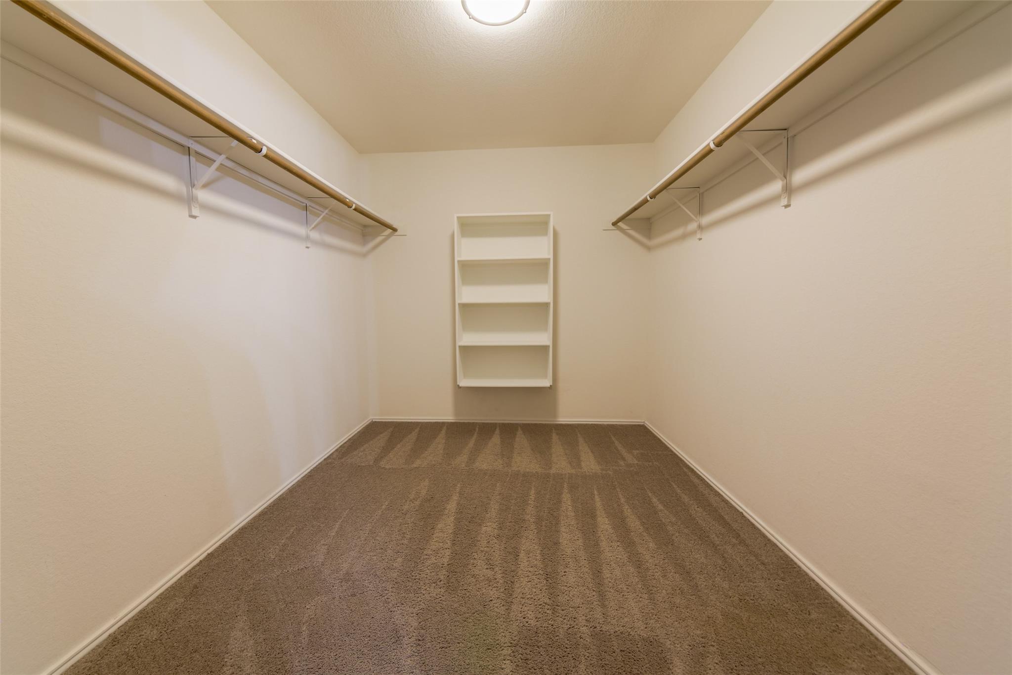 169 Firebush Way, Buda, TX 78610