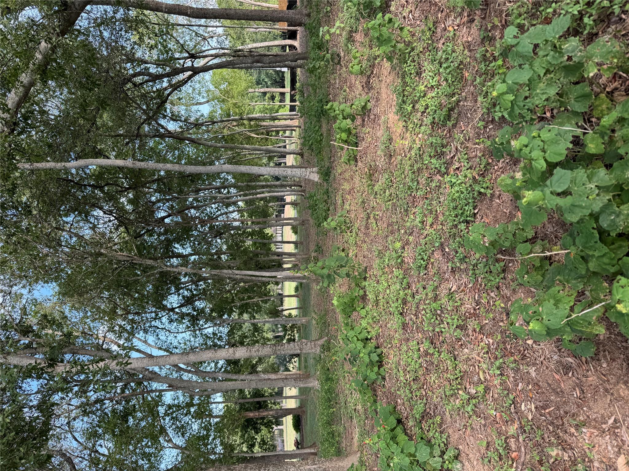 736 E Riverside Dr, Bastrop, TX 78602