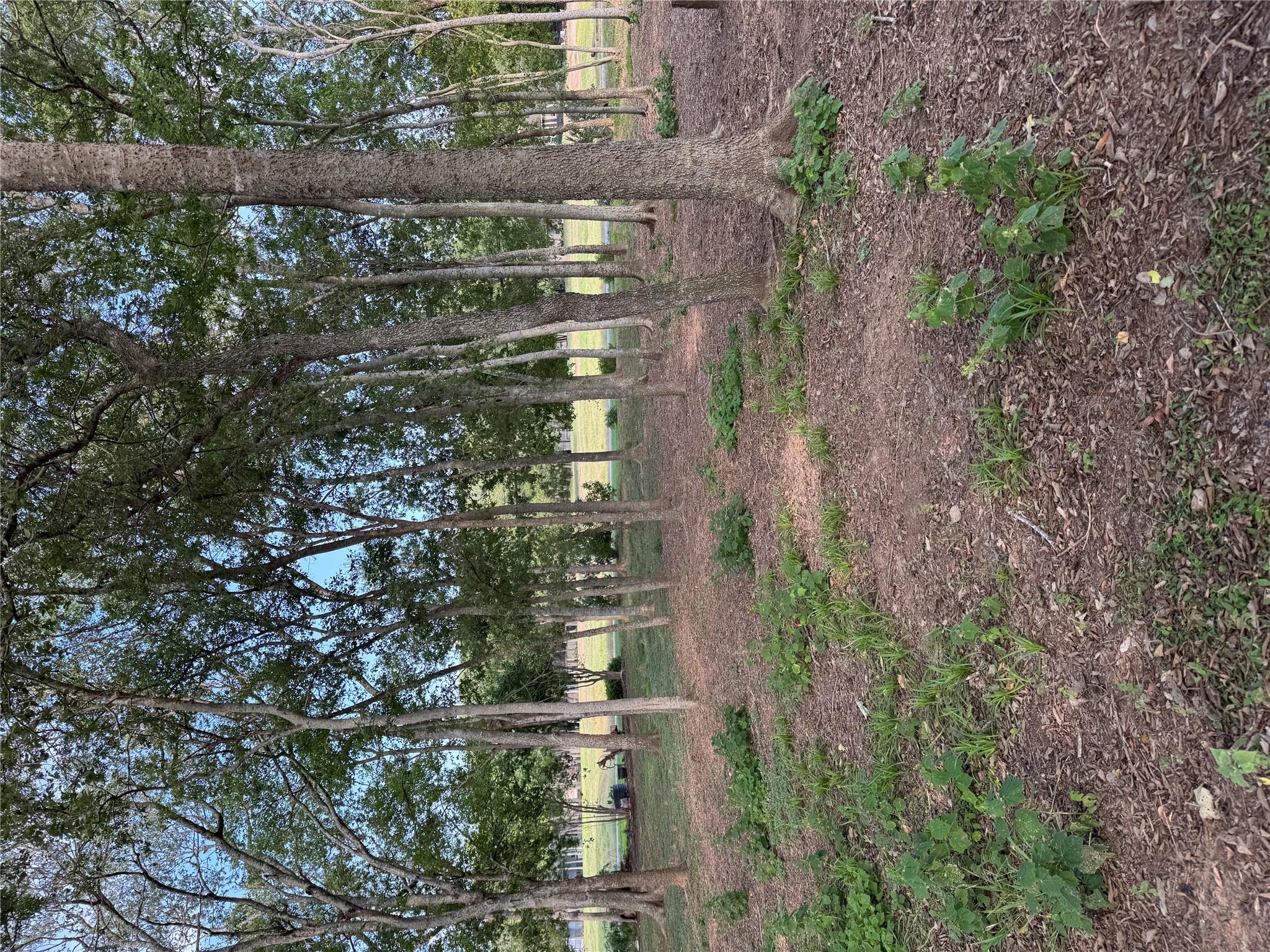 736 E Riverside Dr, Bastrop, TX 78602