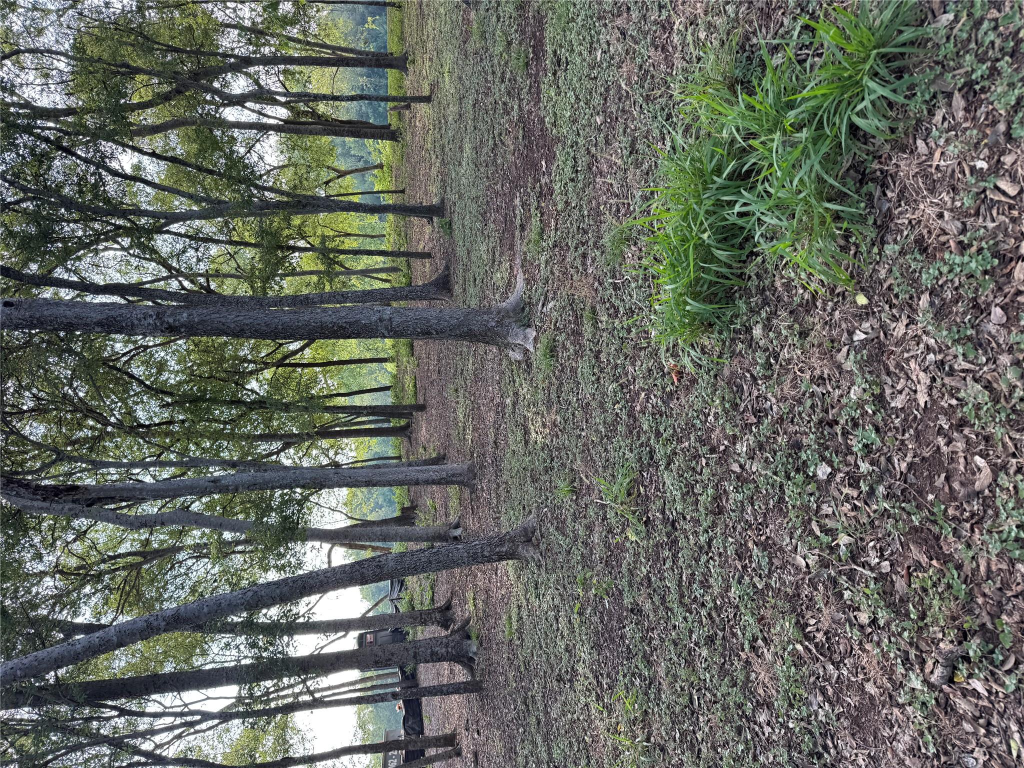 736 E Riverside Dr, Bastrop, TX 78602