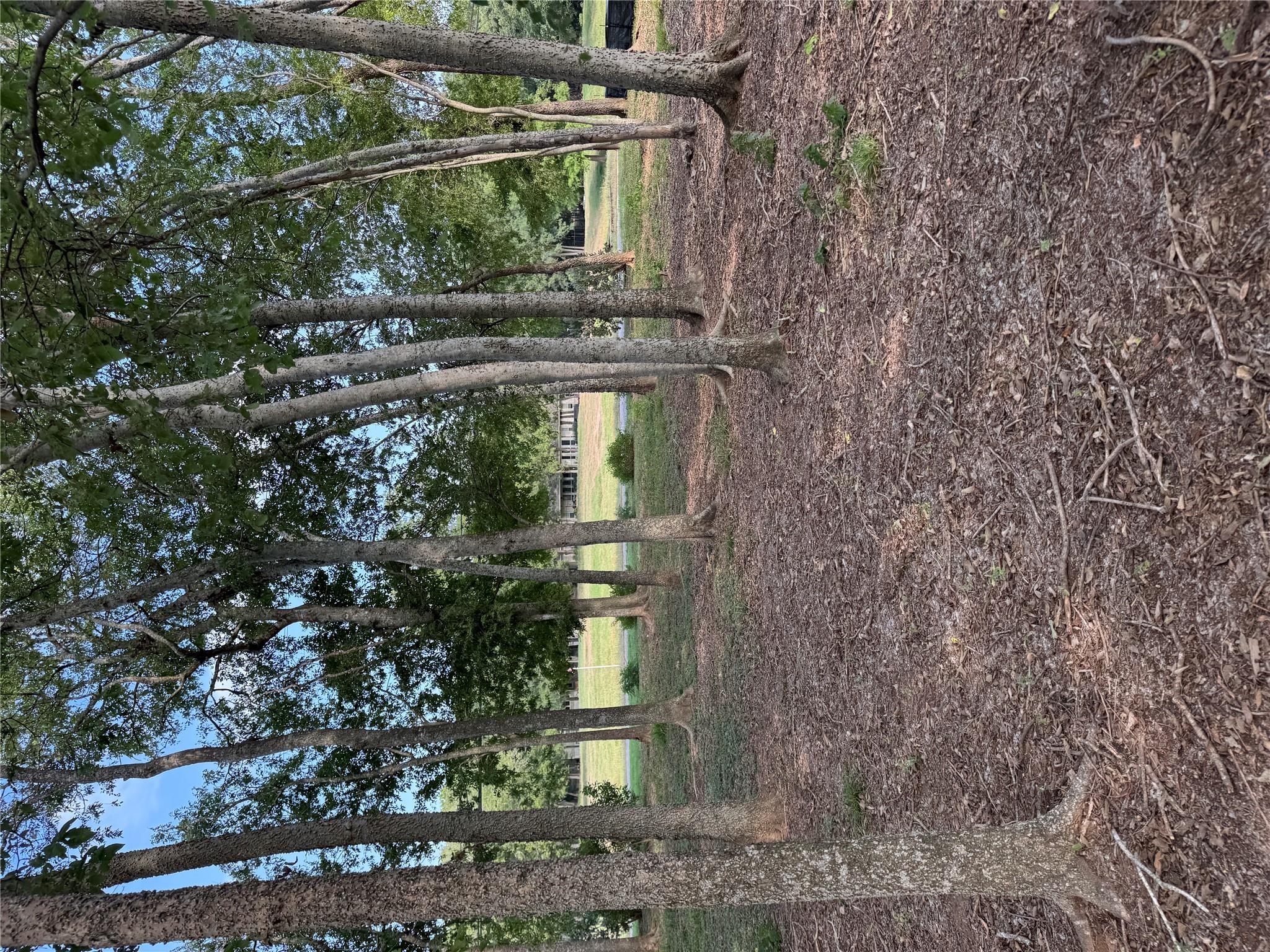 736 E Riverside Dr, Bastrop, TX 78602