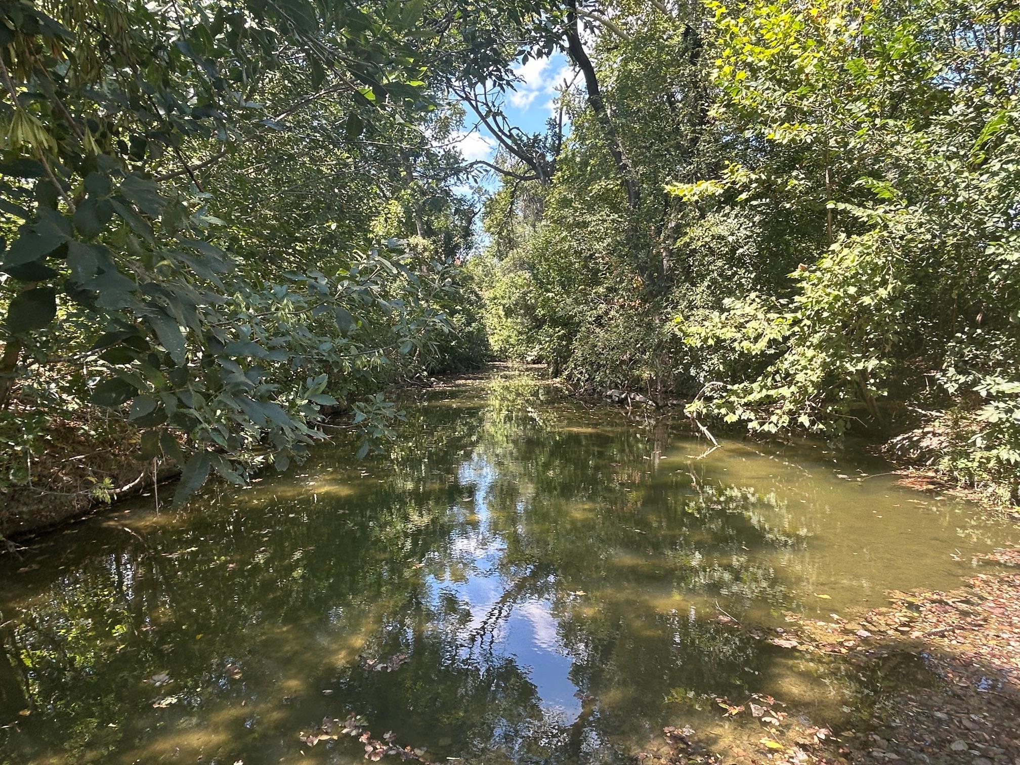 11910 Fm 1660, Hutto, TX 78634