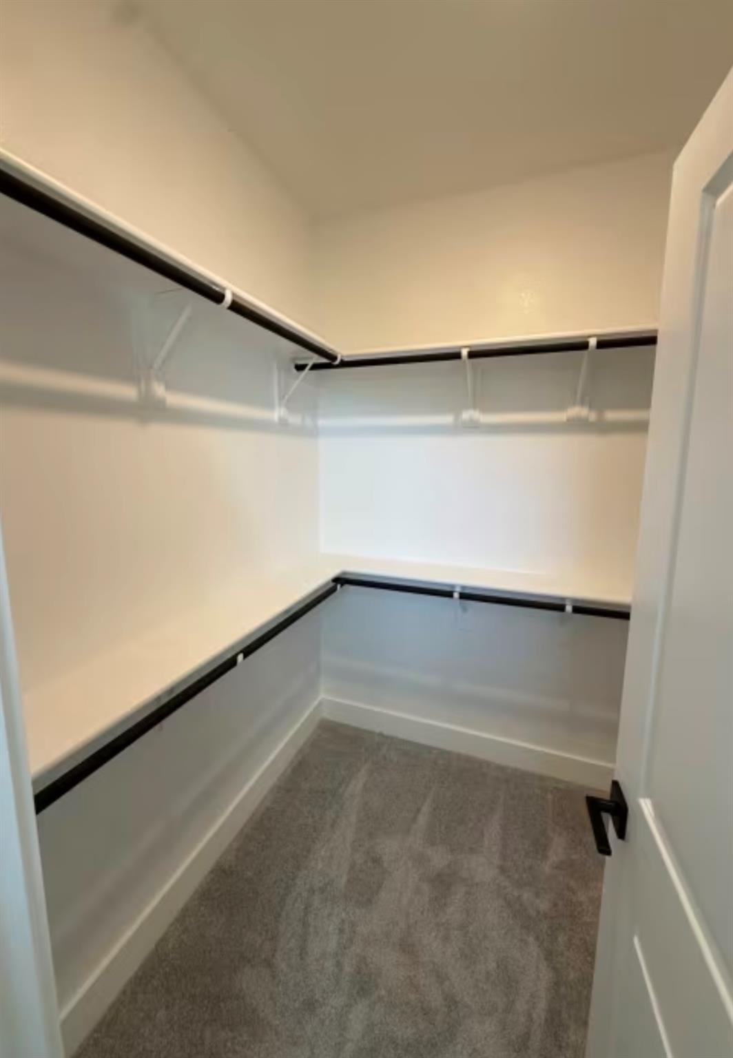 161 Capernaum Ct, Kyle, TX 78640