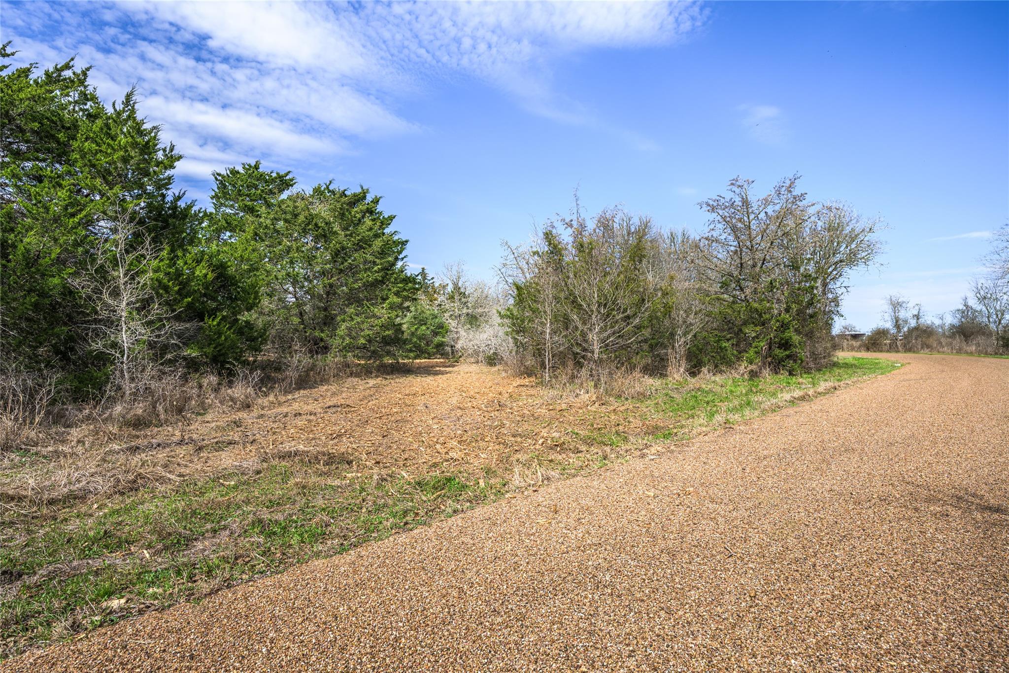 TBD (LOT 4) Independence St, Carmine, TX 78932