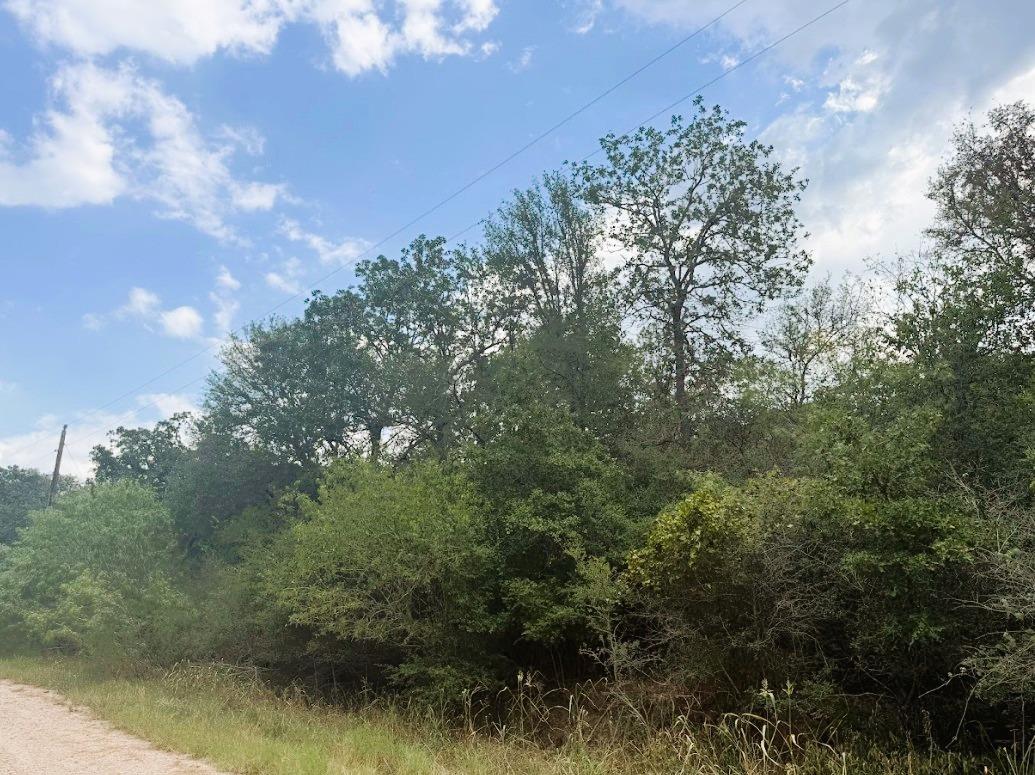 119 Waikiki Dr, Bastrop, TX 78602