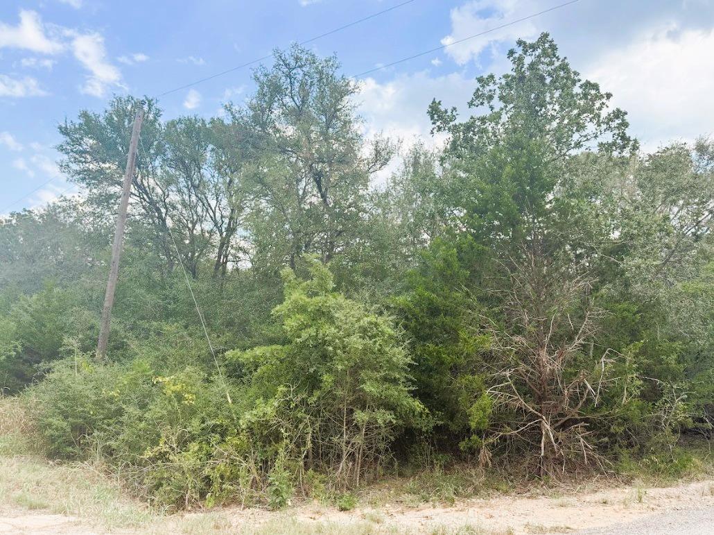 119 Waikiki Dr, Bastrop, TX 78602