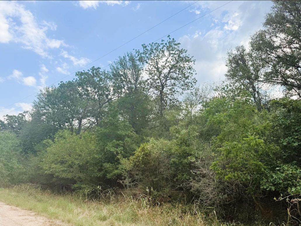 119 Waikiki Dr, Bastrop, TX 78602