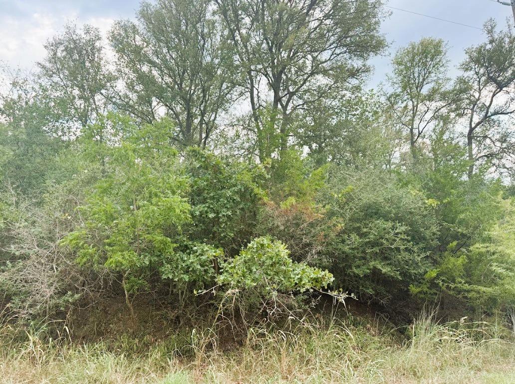 119 Waikiki Dr, Bastrop, TX 78602