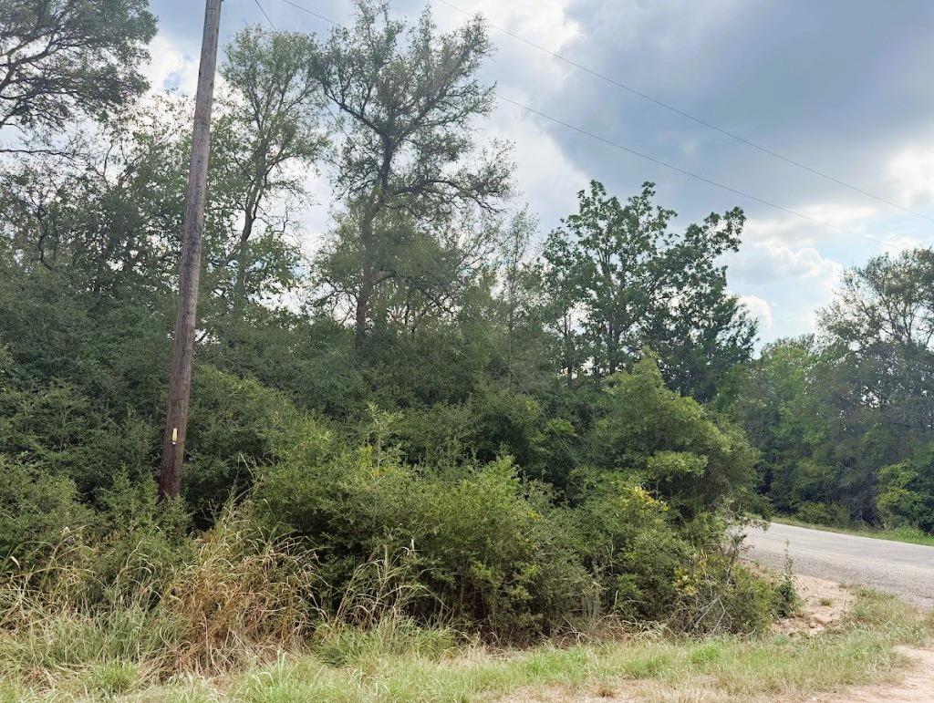 119 Waikiki Dr, Bastrop, TX 78602