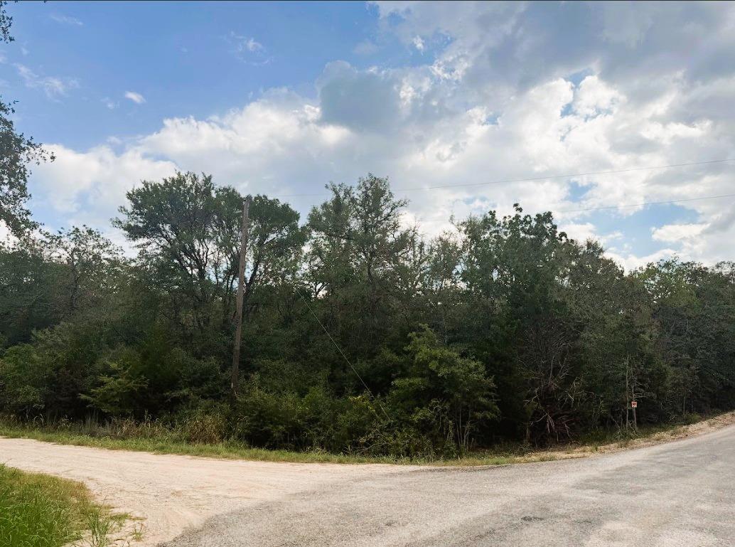 119 Waikiki Dr, Bastrop, TX 78602