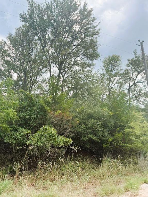 119 Waikiki Dr, Bastrop, TX 78602