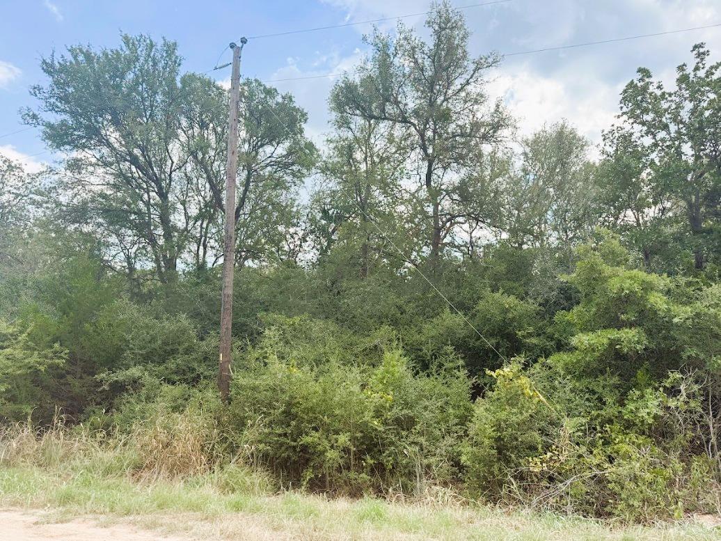 119 Waikiki Dr, Bastrop, TX 78602