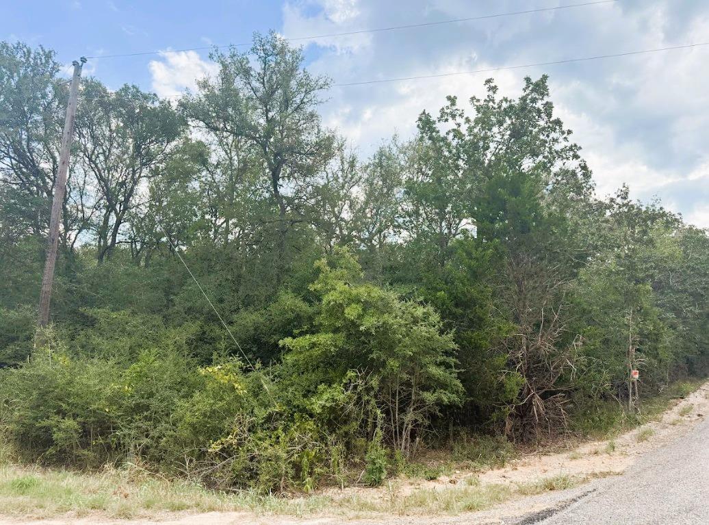 119 Waikiki Dr, Bastrop, TX 78602