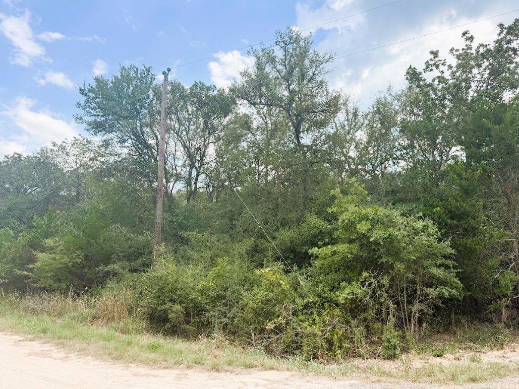 119 Waikiki Dr, Bastrop, TX 78602