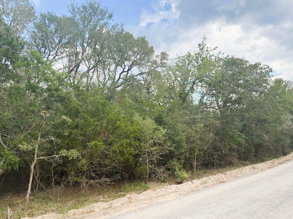 119 Waikiki Dr, Bastrop, TX 78602