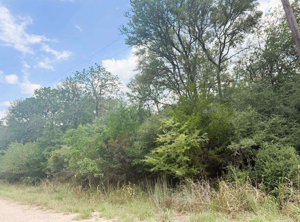 119 Waikiki Dr, Bastrop, TX 78602