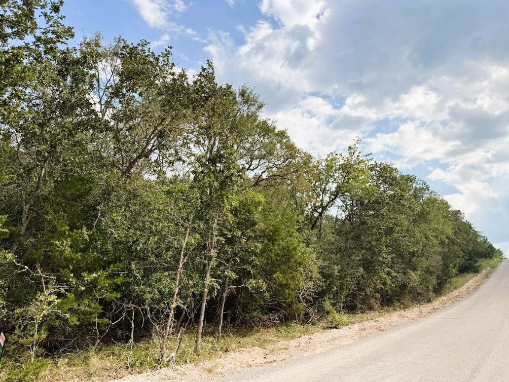 119 Waikiki Dr, Bastrop, TX 78602