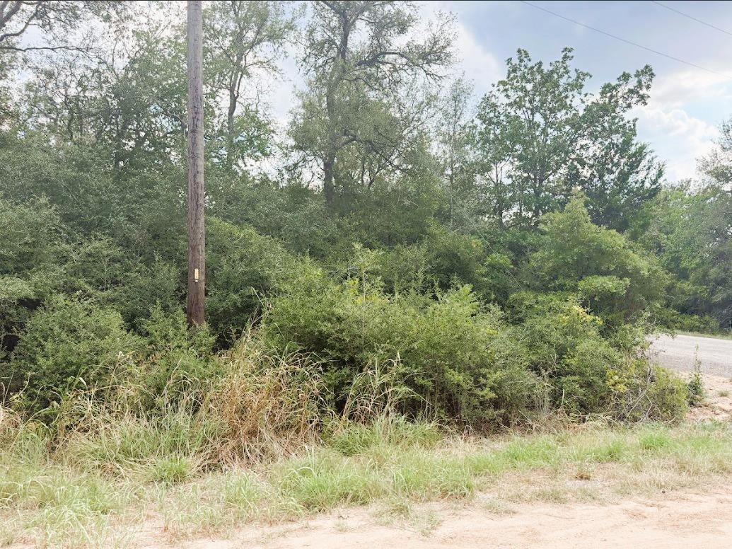 119 Waikiki Dr, Bastrop, TX 78602