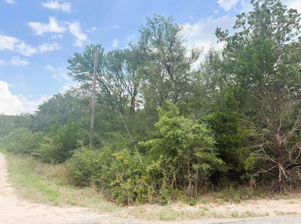 119 Waikiki Dr, Bastrop, TX 78602