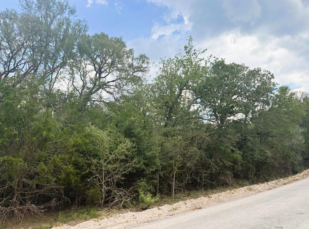 119 Waikiki Dr, Bastrop, TX 78602