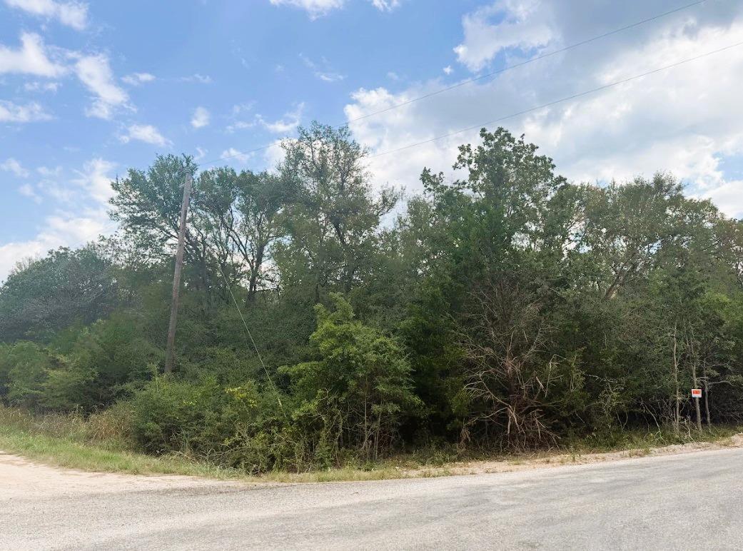 119 Waikiki Dr, Bastrop, TX 78602