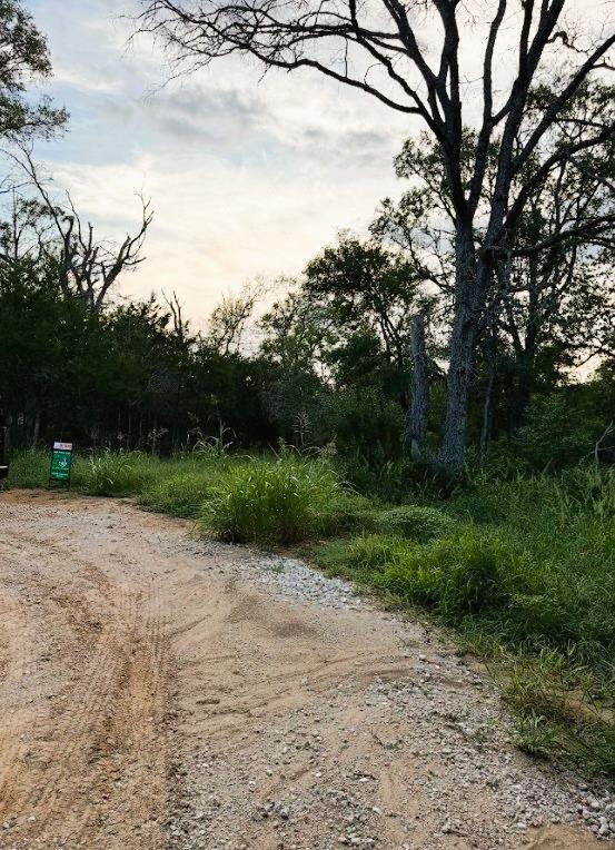 TBD Hilea Ct (lot 626) Hilea Ct, Bastrop, TX 78602