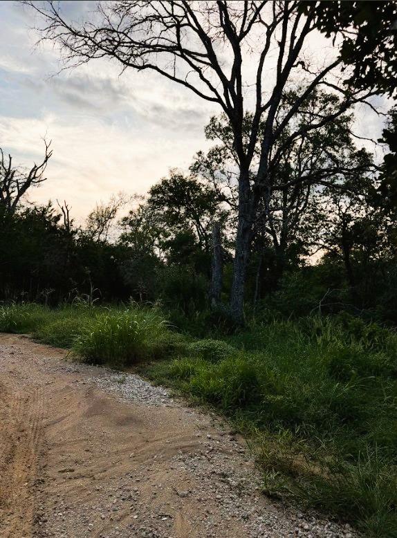 TBD Hilea Ct (lot 626) Hilea Ct, Bastrop, TX 78602