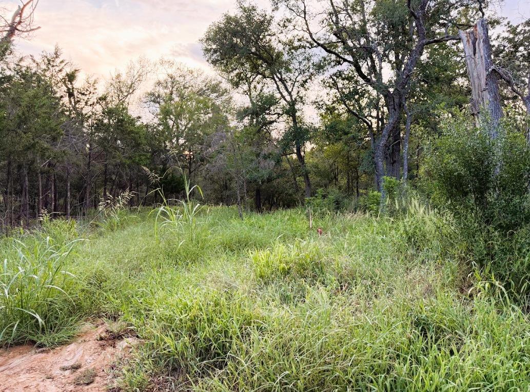 TBD Hilea Ct (lot 626) Hilea Ct, Bastrop, TX 78602