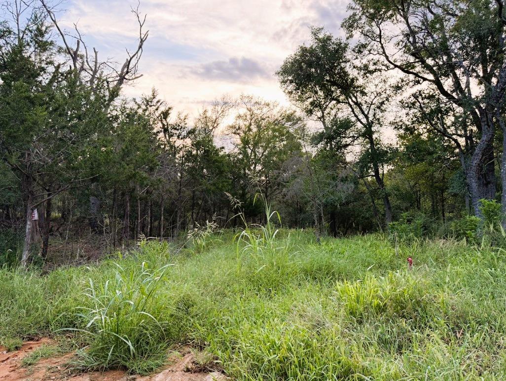 TBD Hilea Ct (lot 626) Hilea Ct, Bastrop, TX 78602