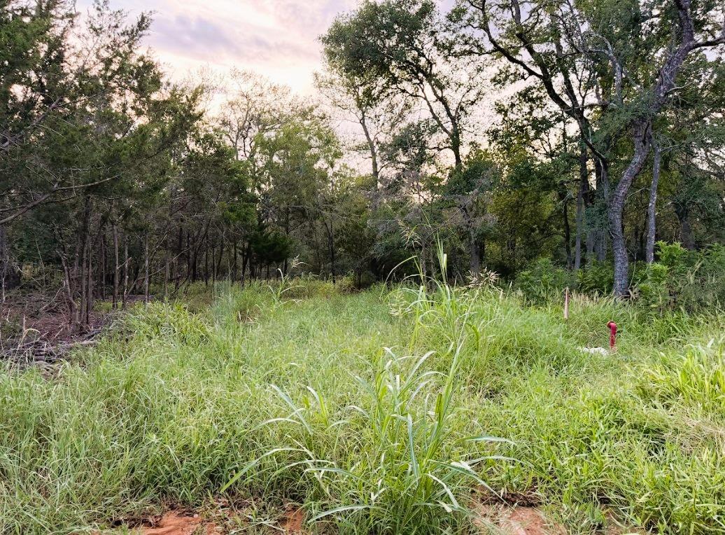TBD Hilea Ct (lot 626) Hilea Ct, Bastrop, TX 78602