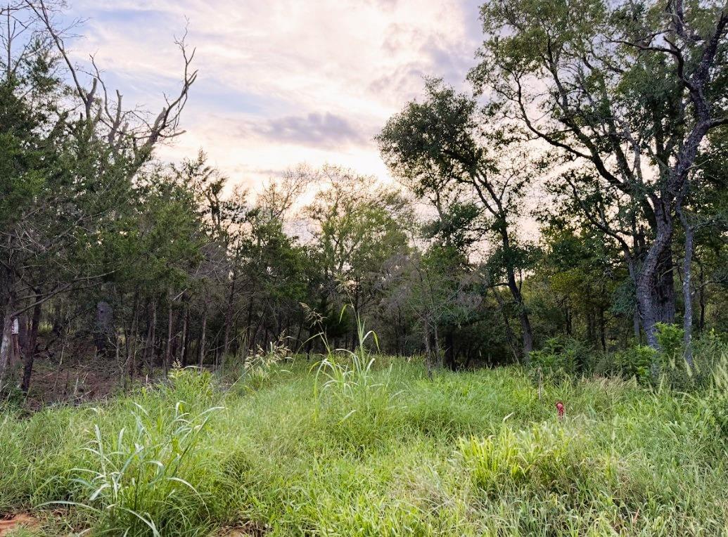 TBD Hilea Ct (lot 626) Hilea Ct, Bastrop, TX 78602