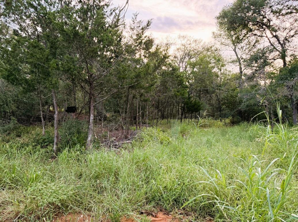 TBD Hilea Ct (lot 626) Hilea Ct, Bastrop, TX 78602