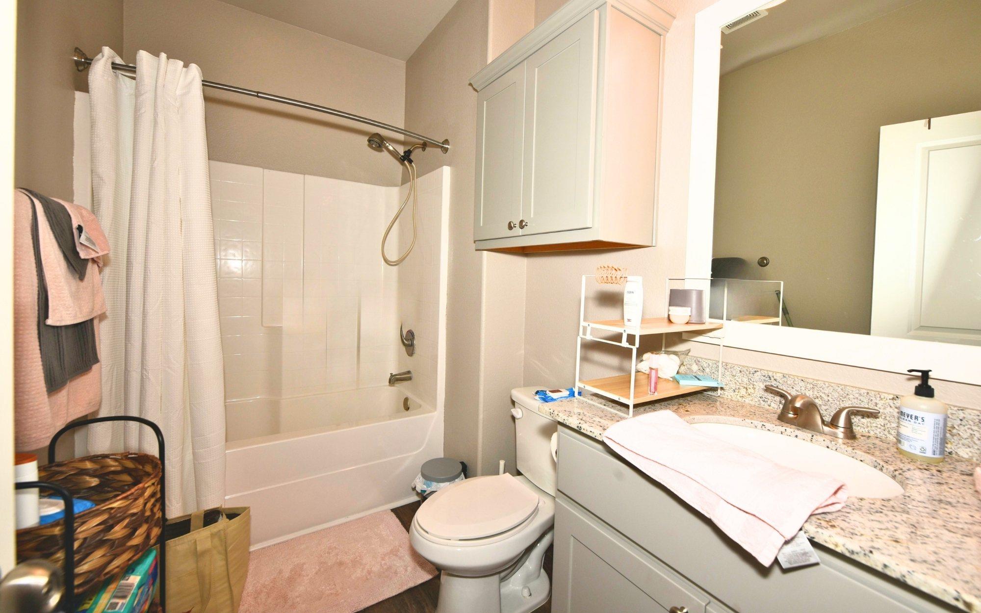 3401 Papa Bear Drive, College Station, TX 77845