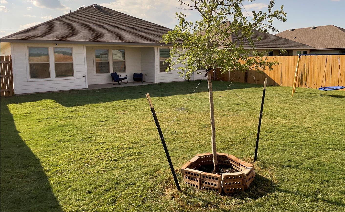 1104 Prairie Clover Rd, Killeen, TX 76543