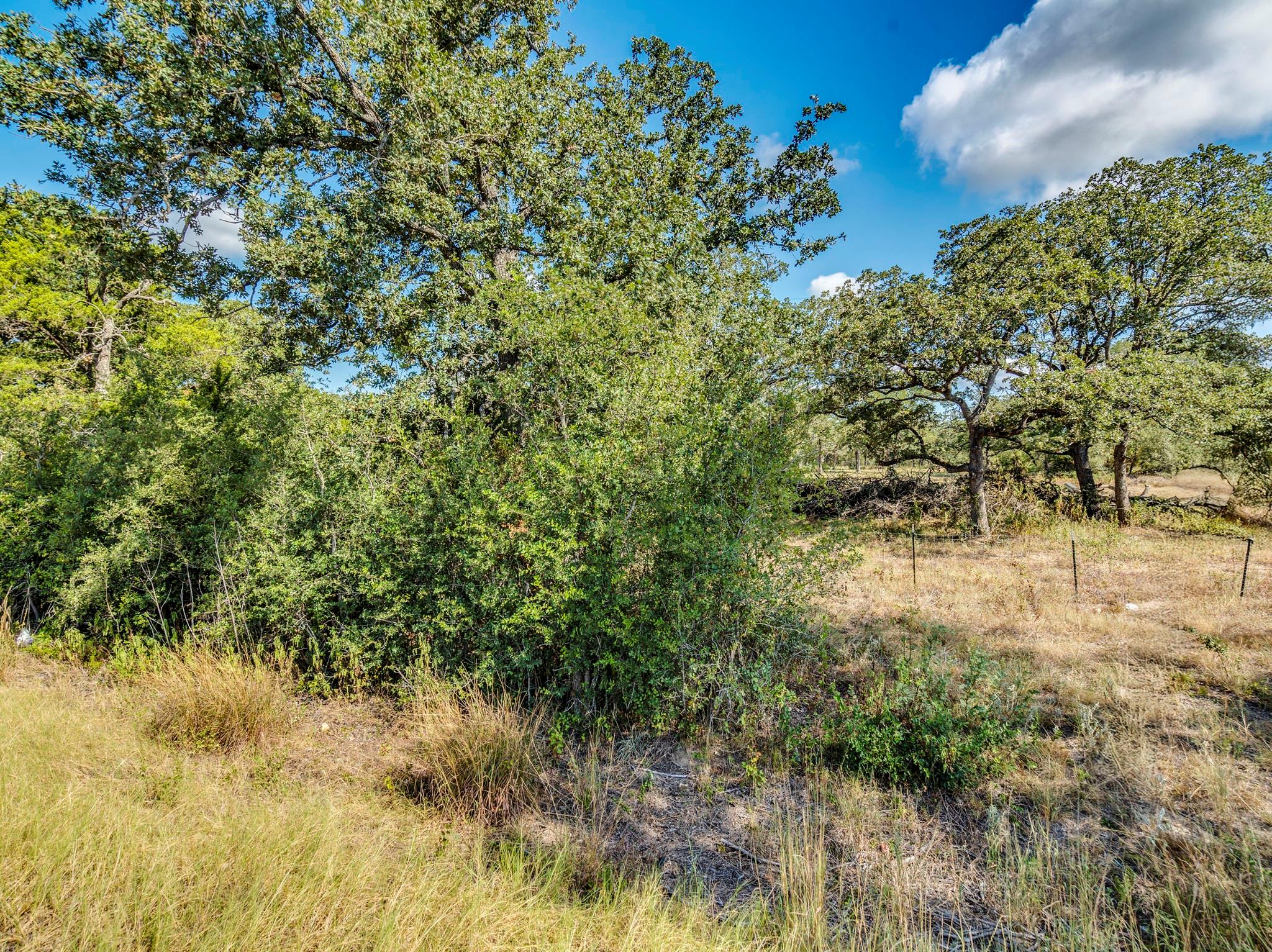 21 Fm 1209 Highway # N, Cedar Creek, TX 78612