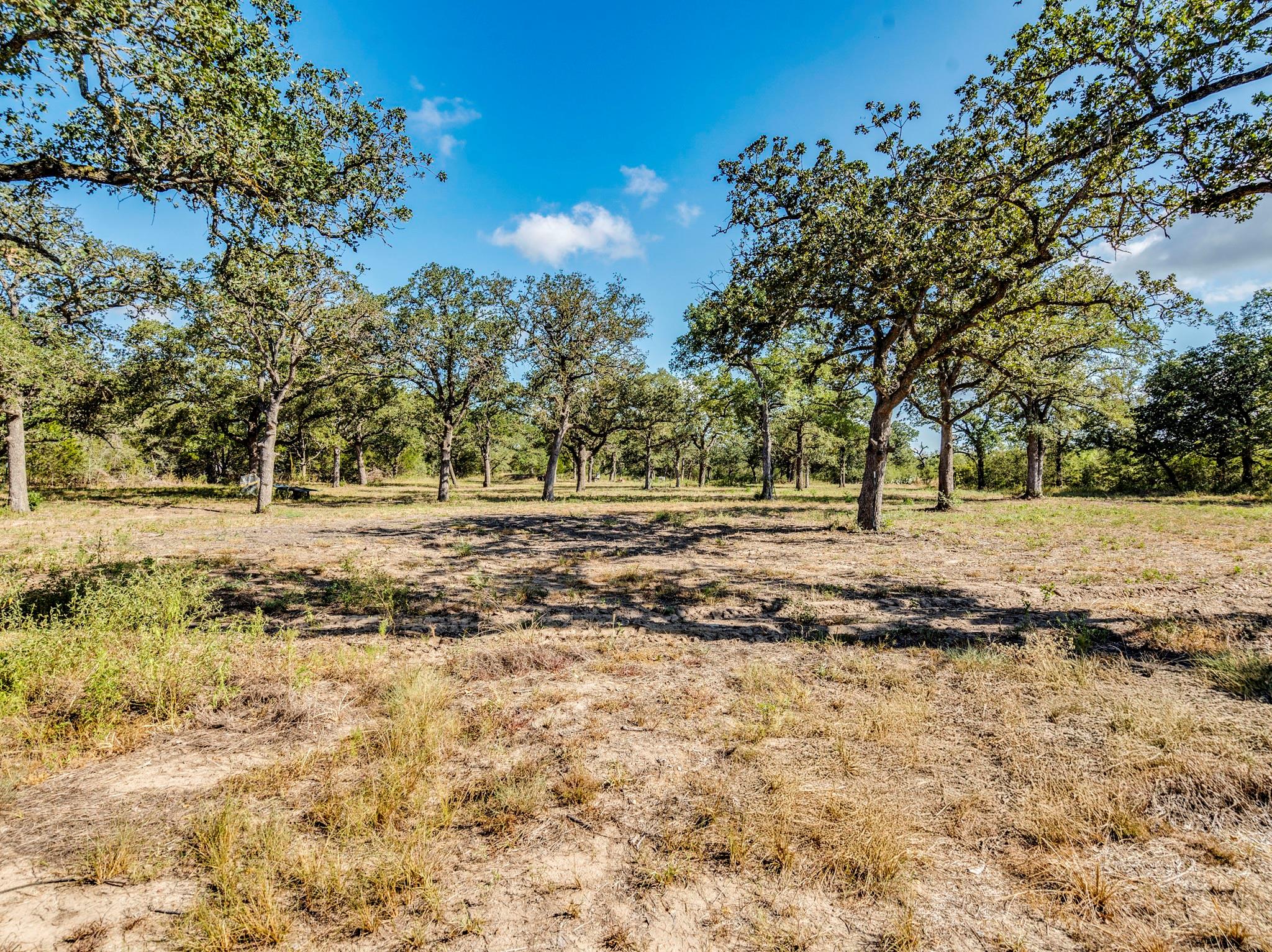 21 Fm 1209 Highway # N, Cedar Creek, TX 78612