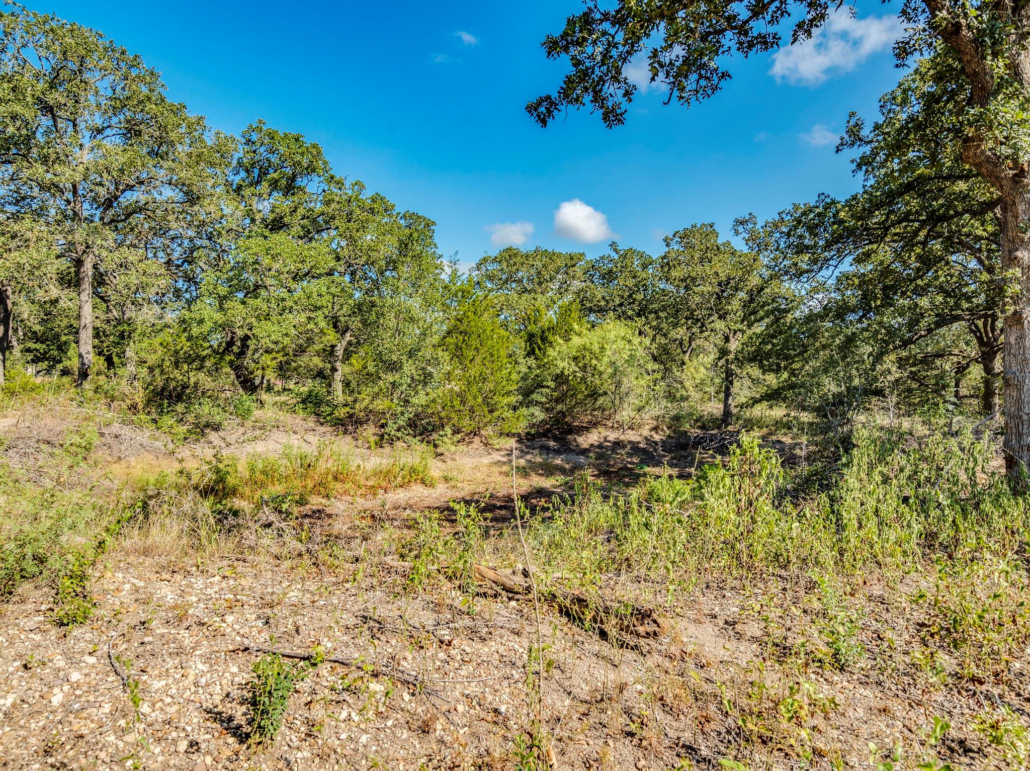 21 Fm 1209 Highway # N, Cedar Creek, TX 78612