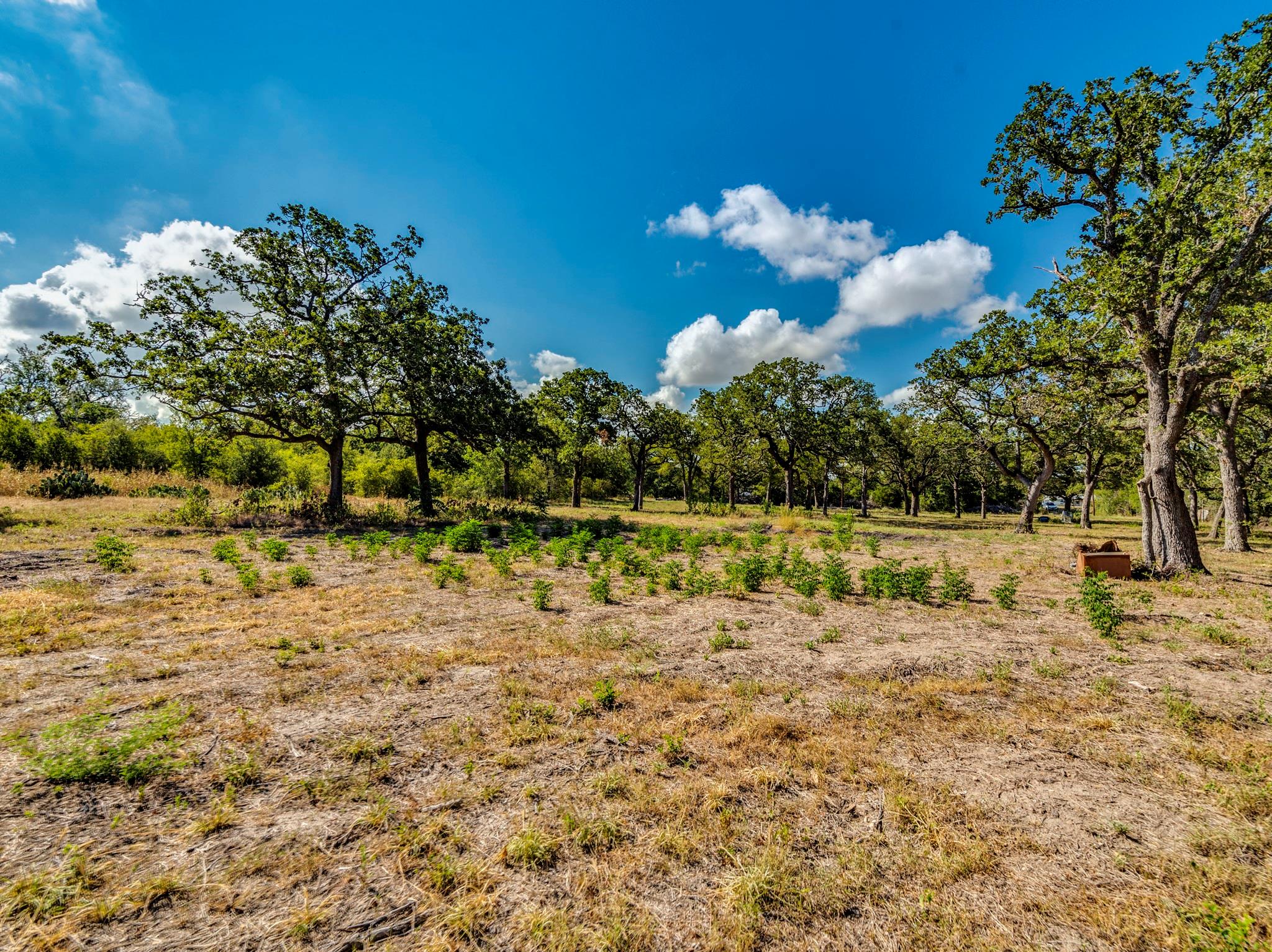 21 Fm 1209 Highway # N, Cedar Creek, TX 78612